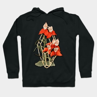 Orchid in Geometric Terrarium Hoodie